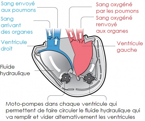 Schéma du fonctionnement des moto-pompes