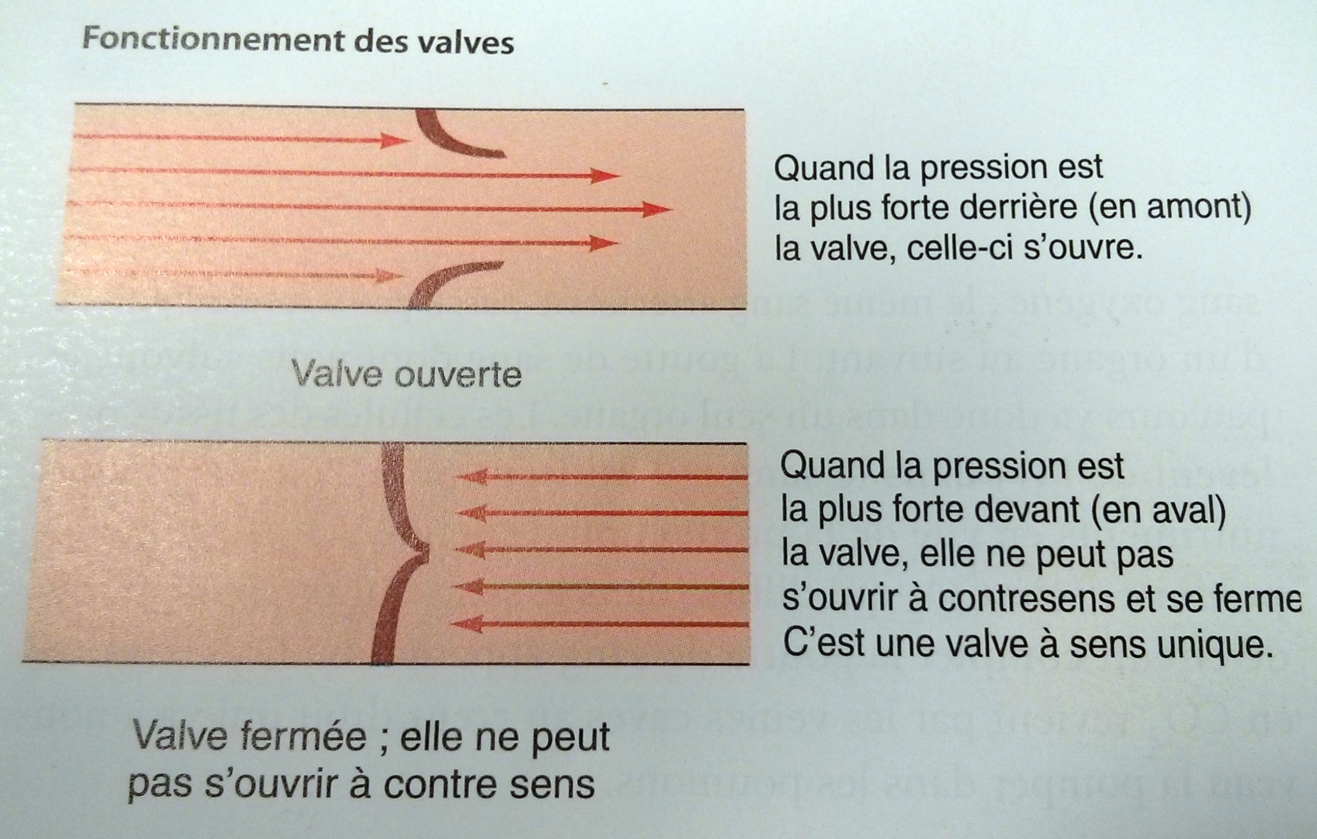 Fonctionnement valves