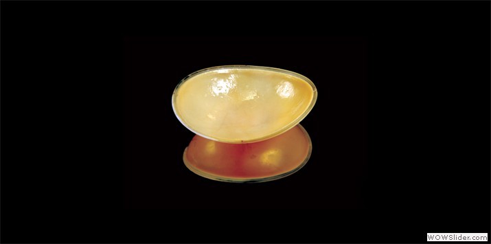 Membrane hybride de la prothèse de CARMAT